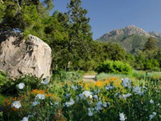 Santa barbara botanic garden