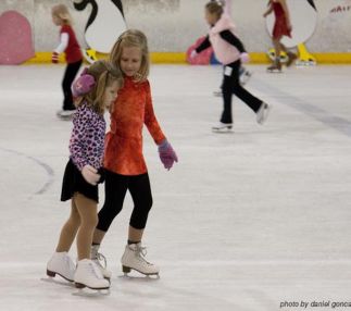 Carolina ice palace