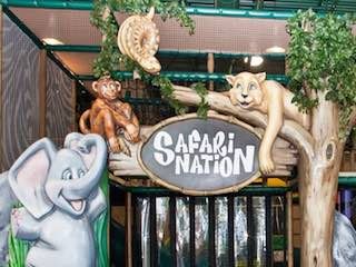 Safari nation