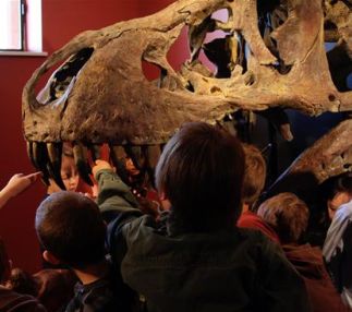 Morrison natural history museum