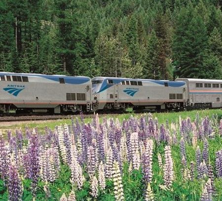 amtrak train the usa through flowers travel across america family days out