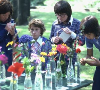 a classroom flower arranging