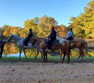 deer lake cabins rsort