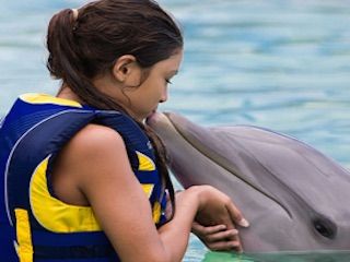 Sea life park