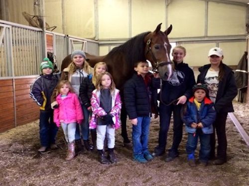 vantage point farm texas horse riding for kids lessons and learning