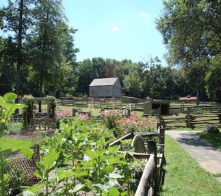 stamford museum nature centre connecticut kids fun with observatory programs for the family