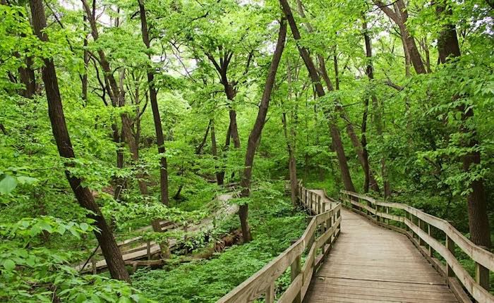 fontenelle forest omaha