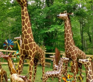 The Groovy Zoo