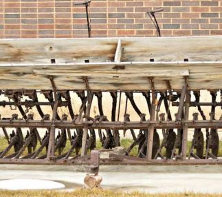 frontier country fossil museum