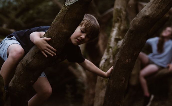 kids play in the woods