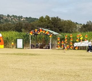 sweet-berry-farm