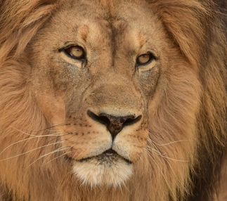 maryland zoo baltimore family days out