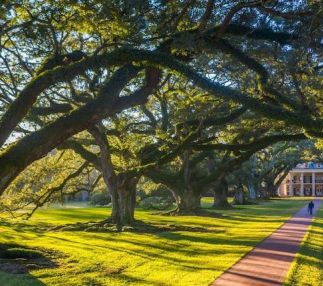 oak alley plantation louisiana