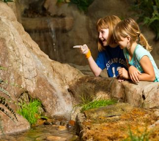 hands-on childrens museum hendersonville north carolina museum fun for kids USA