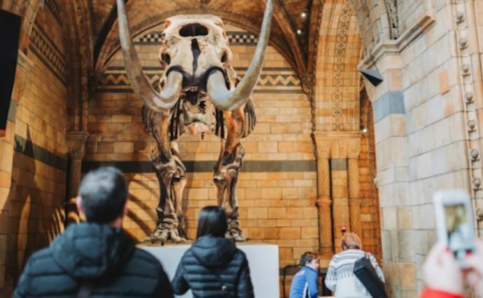 Museum visit