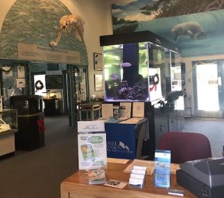 manatee observation center