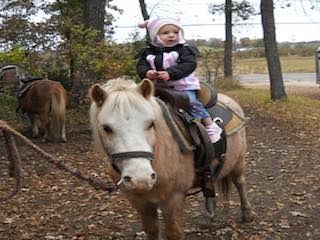 Apple jack orchard