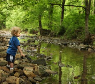 giant city state park illinois park fun for kids
