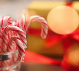 christmas candy canes with christmas tree and lights
