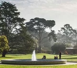 san francisco botanical garden