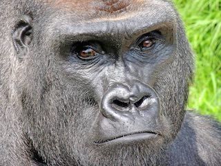Sedgwick county zoo