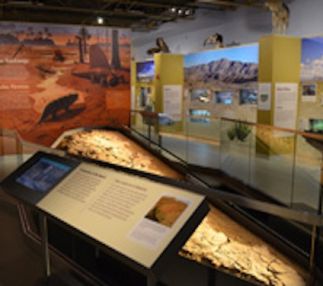 las cruces museum nature and science new mexico fossils