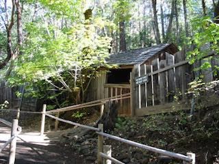 Oregon vortex