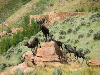 National musum wildlifeart