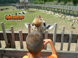 Frank buck zoo
