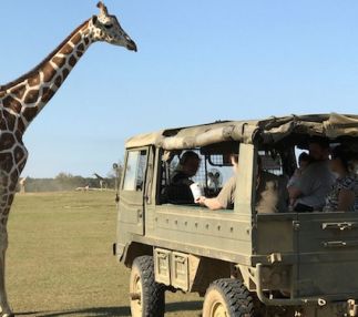 global wildlife center louisiana safari africa in USA kids fun wildlife experiences