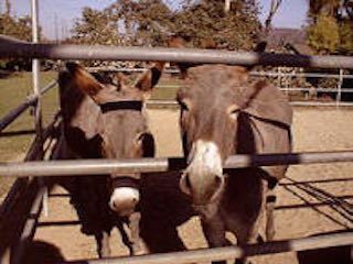 Underwood family farm