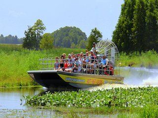 Wild florida air tours