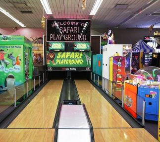 safari playground indoor play for kids michigan