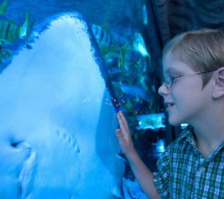 san antonio aquarium