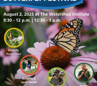 25th annual butterfly festival at the watershed institute