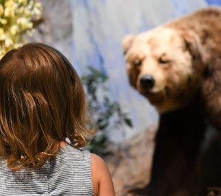 santa barbara museum of natural history