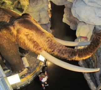 san bernardino county museum