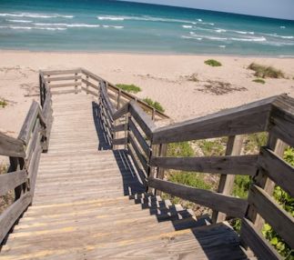 john d macarthur state park florida tropical family day out beach time kids