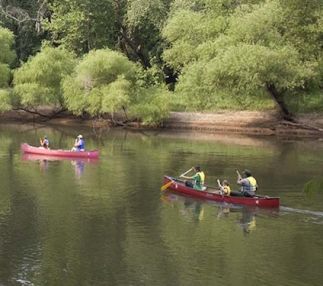 cliffs of the neuse state park north carolina outdoor fun for all