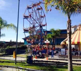 Boomers upland