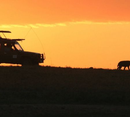 Sunset Safari in Africa