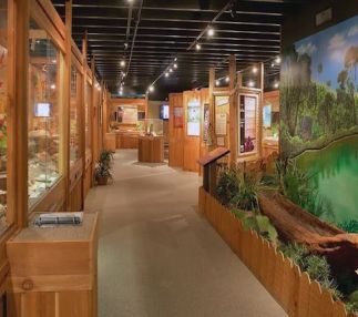 indian temple mound museum