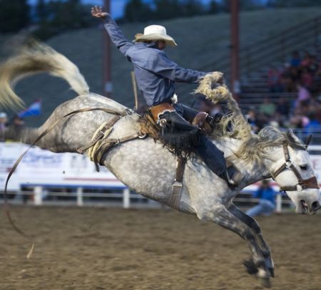 cody wyoming stampede rodeo family days out cody city guide