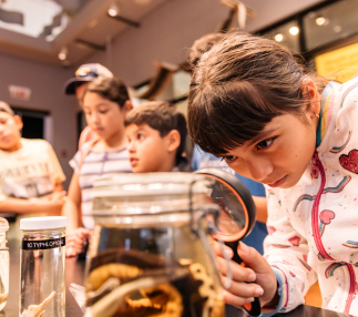 Field Museum