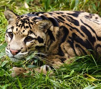 wild animal park new york state animal fun for kids zoo experience