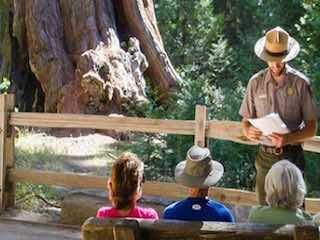 Sequoia and kings national park