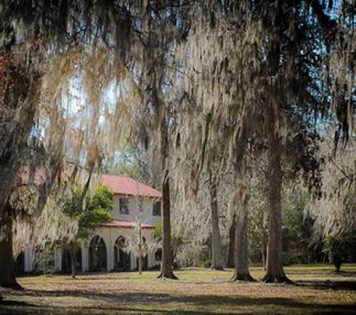 Edward Ball Wakulla Springs State Park Florida adventure wildlife and tours