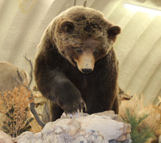 wind river heritage center wyoming