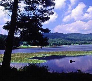 Moncove lake state park