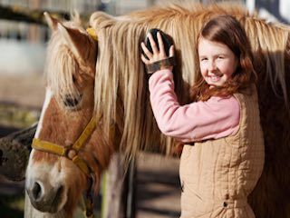 Horse listeners orchard